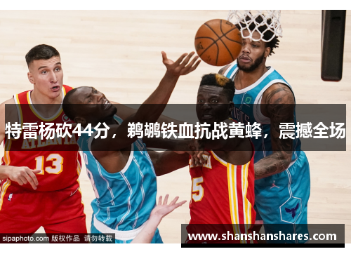 特雷杨砍44分，鹈鹕铁血抗战黄蜂，震撼全场